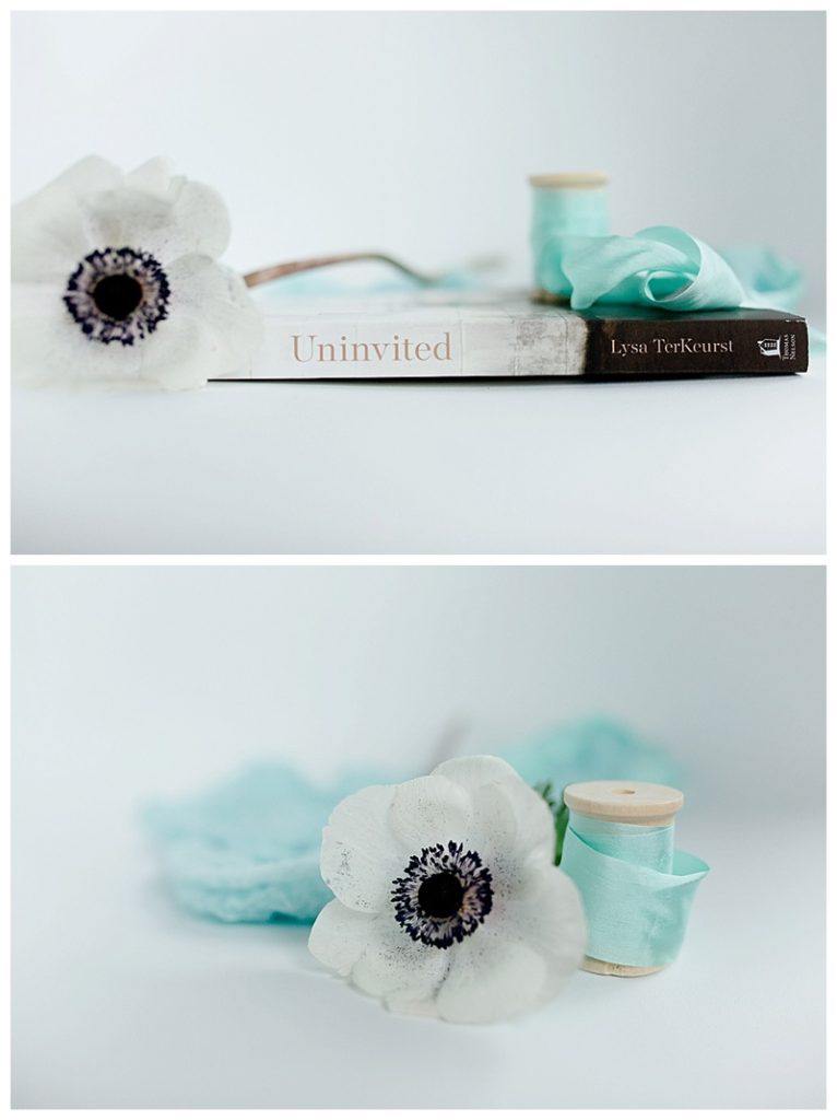 Uninvited Book Review, Akron Wedding Photographer, The Cannon's Photography