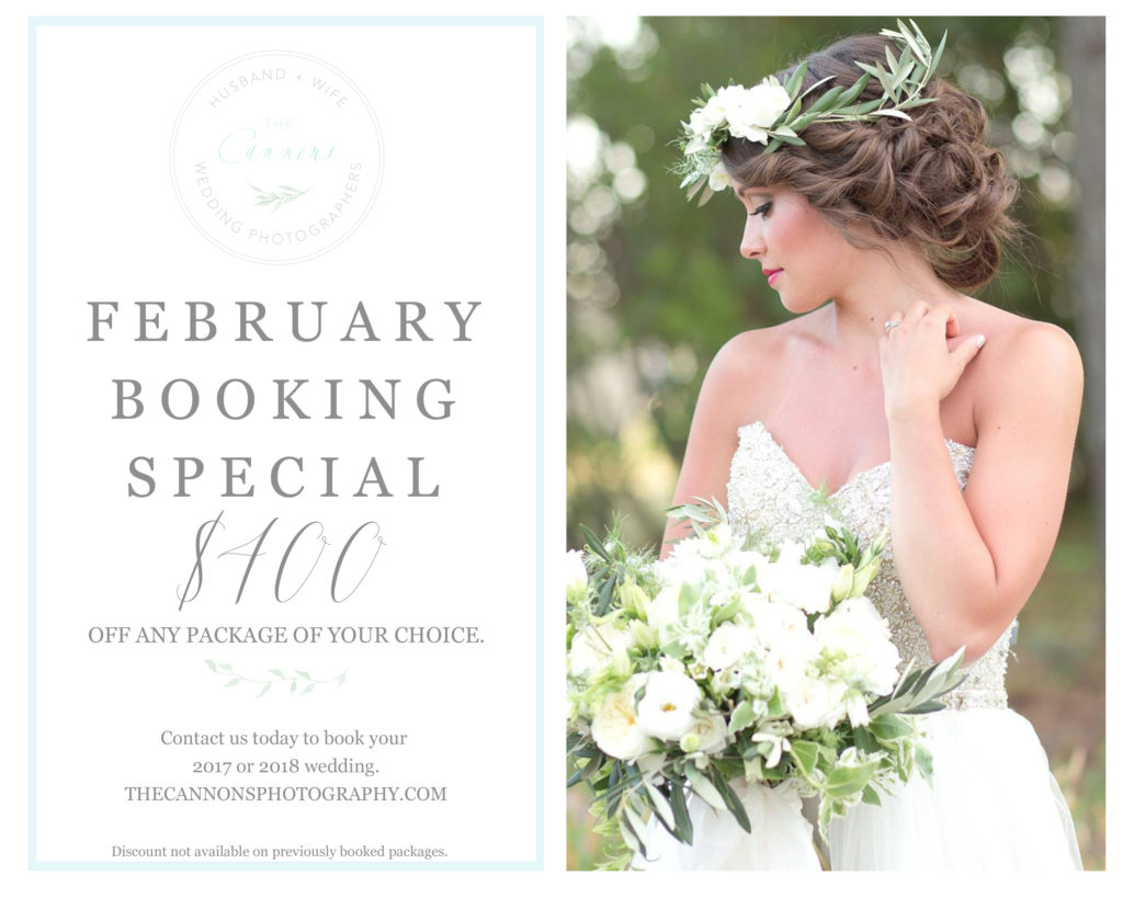 February Booking Special, Northeast Ohio Wedding Photographer, Akron Wedding Photographer, The Cannons Photography