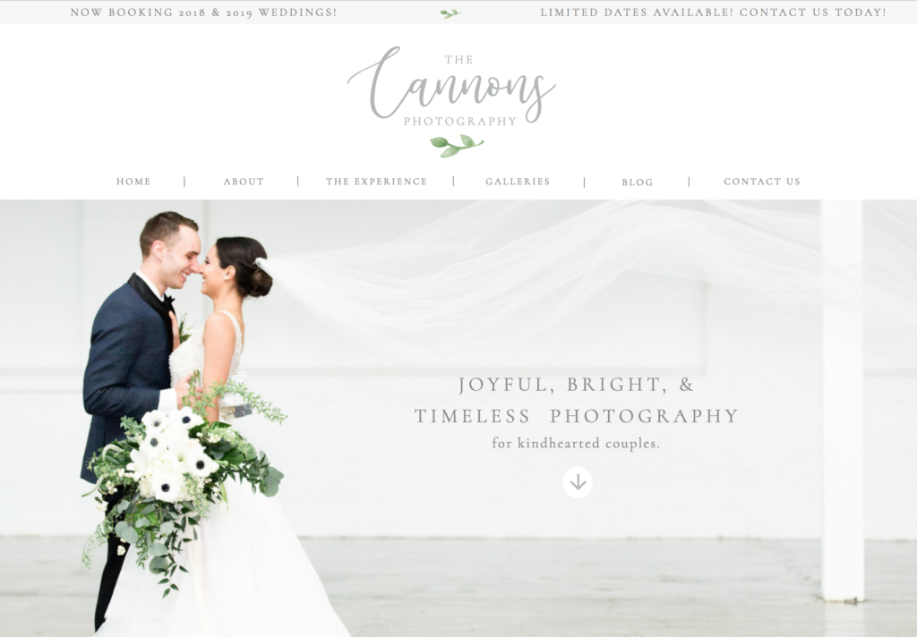 Our big surprise, The Cannons Photography New Website Akron Ohio Wedding Photographer