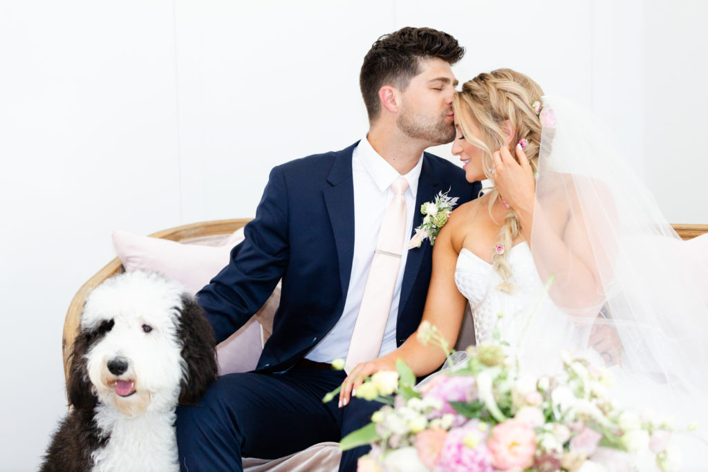 Dog photos on your wedding day.
