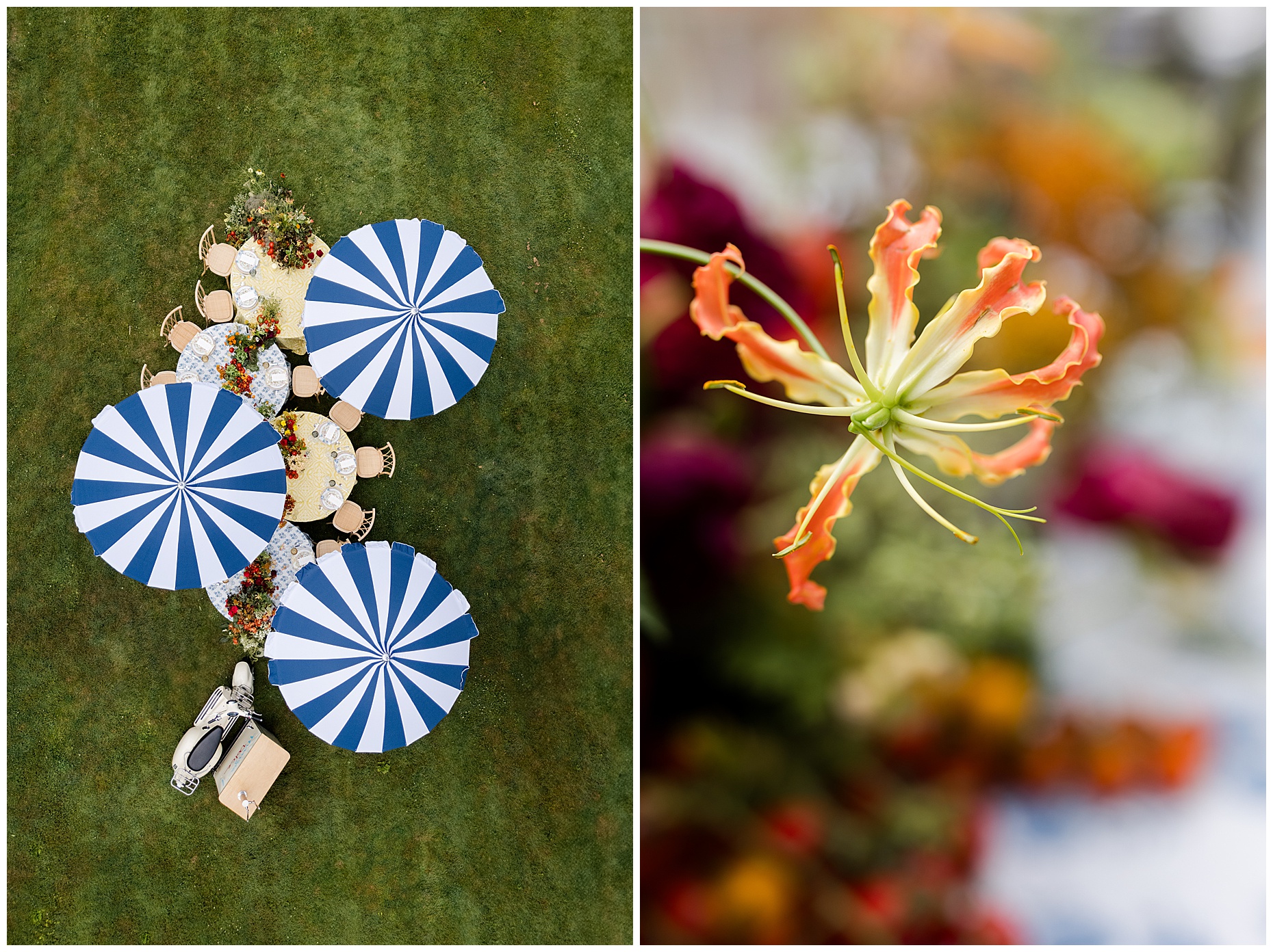 rehearsal dinner at basil place ohio